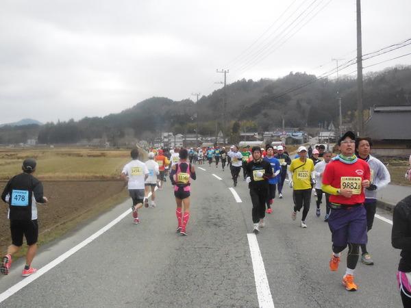 道路の右側には正面を向いて走ってくるランナー達の姿、左側には折り返しを過ぎた後姿のランナー達が走っている写真